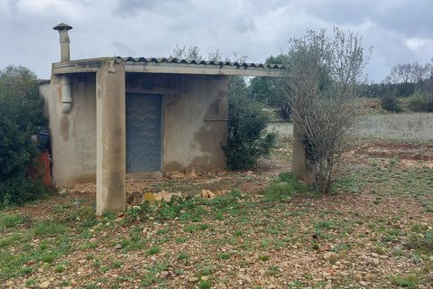 Finca i Ulldecona, Tarragona, Ulldecona - € 12.000 | Ref: 664 - foto 2