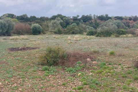 Finca i Ulldecona, Tarragona, Ulldecona - € 12.000 | Ref: 664 - foto 7