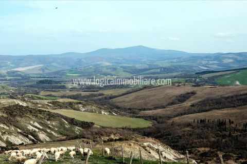 Farm i Radicofani, Siena, Radicofani - € 1.400.000 | Ref: TAZ55 - foto 3