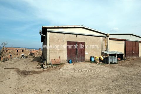 Farm i Radicofani, Siena, Radicofani - € 1.400.000 | Ref: TAZ55 - foto 6