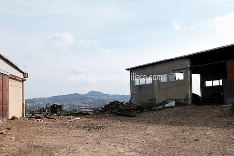 Farm i Radicofani, Siena, Radicofani - € 1.400.000 | Ref: TAZ55 - foto 7