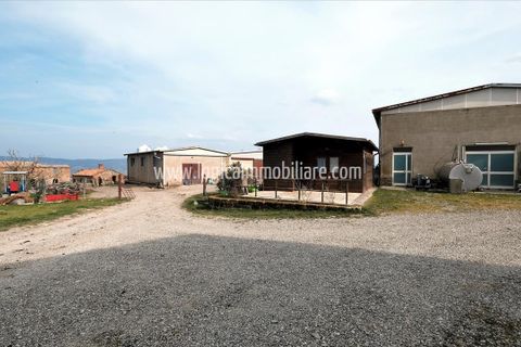 Farm i Radicofani, Siena, Radicofani - € 1.400.000 | Ref: TAZ55 - foto 8