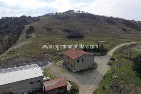 Farm i Radicofani, Siena, Radicofani - € 1.400.000 | Ref: TAZ55 - foto 9