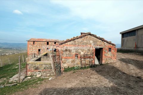 Farm i Radicofani, Siena, Radicofani - € 1.400.000 | Ref: TAZ55 - foto 10