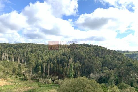 Helårsgrund i Mafra, Lisbon, Mafra - € 580.000 | Ref: TER_2030-AR - foto 2