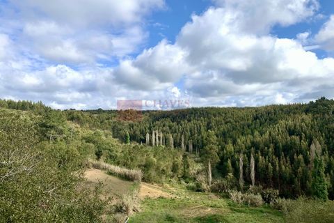 Helårsgrund i Mafra, Lisbon, Mafra - € 580.000 | Ref: TER_2030-AR - foto 5