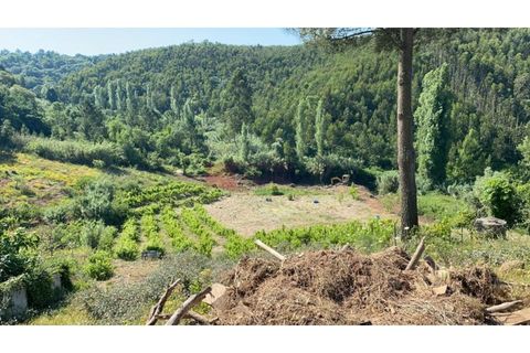 Helårsgrund i Mafra, Lisbon, Mafra - € 580.000 | Ref: TER_2030-AR - foto 7