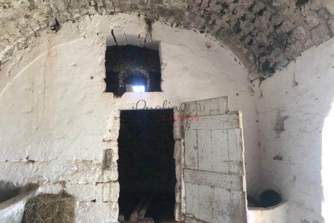 Landejendom i Cisternino, Brindisi, Cisternino - € 1.111.111 | Ref: 165 - foto 17