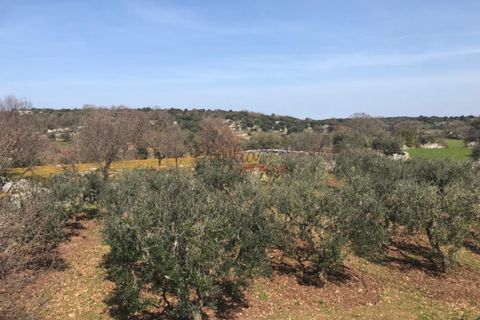 Landejendom i Cisternino, Brindisi, Cisternino - € 1.111.111 | Ref: 165 - foto 29