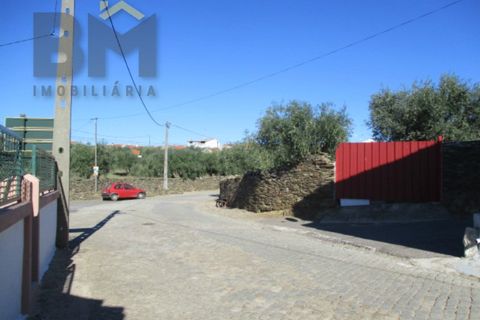 Villa a Rosmaninhal, Castelo Branco, Rosmaninhal - € 19.500 | Ref: 4203 - foto 3