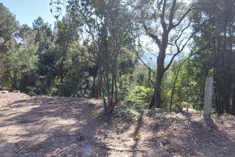 Helårsgrund i Amares, Braga, Amares - € 47.500 | Ref: 211456 - foto 2