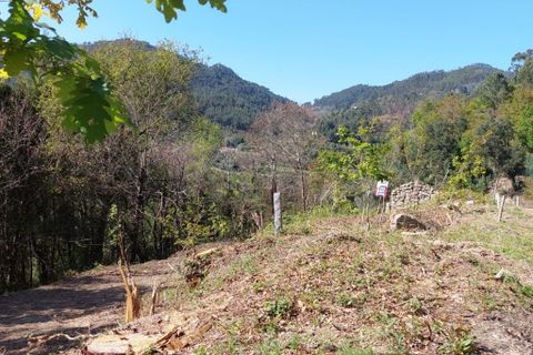 Helårsgrund i Amares, Braga, Amares - € 47.500 | Ref: 211456 - foto 3