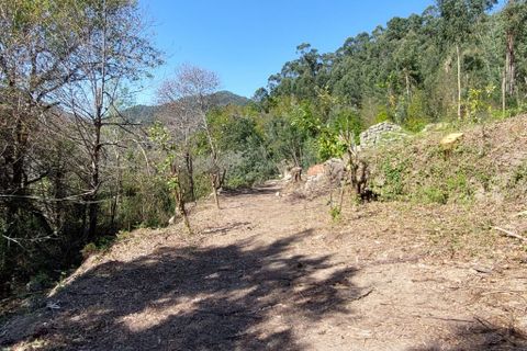 Helårsgrund i Amares, Braga, Amares - € 47.500 | Ref: 211456 - foto 6