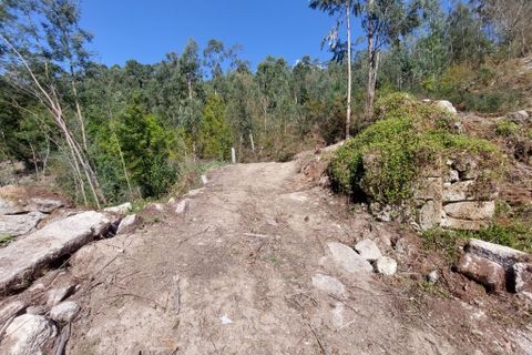 Helårsgrund i Amares, Braga, Amares - € 47.500 | Ref: 211456 - foto 9