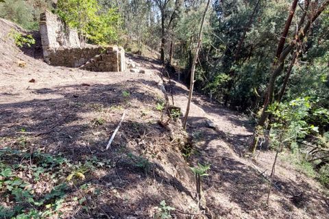 Helårsgrund i Amares, Braga, Amares - € 47.500 | Ref: 211457 - foto 2