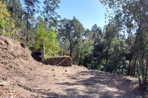 Helårsgrund i Amares, Braga, Amares - € 47.500 | Ref: 211457 - foto 4