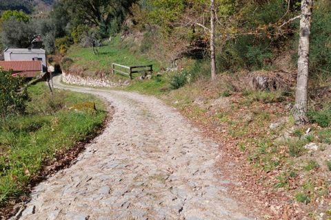 Helårsgrund i Amares, Braga, Amares - € 47.500 | Ref: 211457 - foto 8