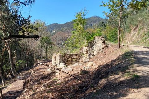 Helårsgrund i Amares, Braga, Amares - € 47.500 | Ref: 211457 - foto 9