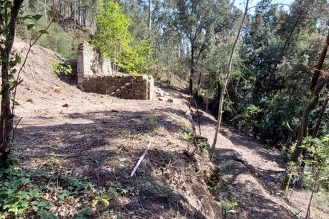 Helårsgrund i Amares, Braga, Amares - € 47.500 | Ref: 211457 - foto 10