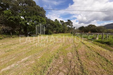 Helårsgrund i Vile, Viana do Castelo, Vile - € 145.000 | Ref: 884 - foto 2