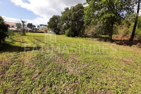 Helårsgrund i Vile, Viana do Castelo, Vile - € 145.000 | Ref: 884 - foto 3