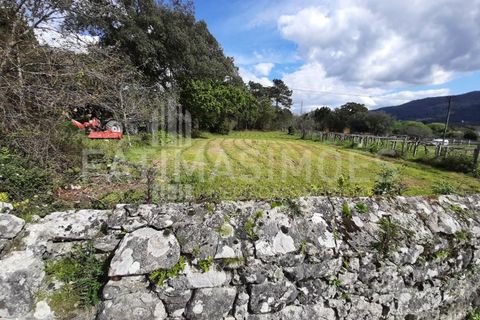 Helårsgrund i Vile, Viana do Castelo, Vile - € 145.000 | Ref: 884 - foto 4