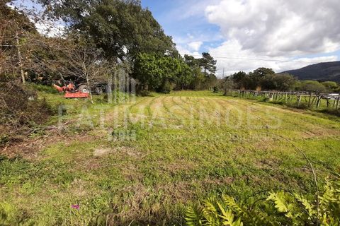 Helårsgrund i Vile, Viana do Castelo, Vile - € 145.000 | Ref: 884 - foto 5