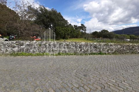 Helårsgrund i Vile, Viana do Castelo, Vile - € 145.000 | Ref: 884 - foto 6