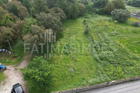 Helårsgrund i Vile, Viana do Castelo, Vile - € 145.000 | Ref: 884 - foto 7