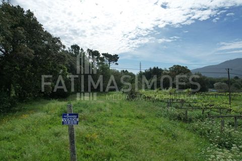 Helårsgrund i Vile, Viana do Castelo, Vile - € 145.000 | Ref: 884 - foto 8