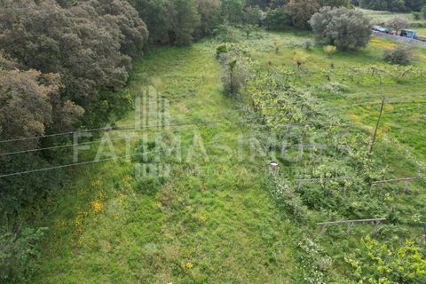 Helårsgrund i Vile, Viana do Castelo, Vile - € 145.000 | Ref: 884 - foto 9