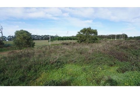 Helårsgrund i Budens, Faro, Budens - € 165.000 | Ref: 10227 - foto 8