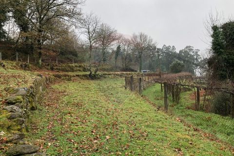 Helårsgrund i Amares, Braga, Amares - € 25.000 | Ref: 126371012-194 - foto 1