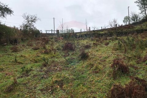 Helårsgrund i Amares, Braga, Amares - € 25.000 | Ref: 126371012-194 - foto 2