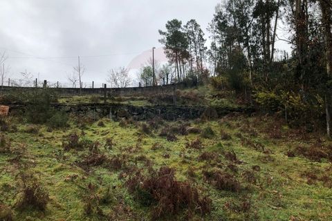Helårsgrund i Amares, Braga, Amares - € 25.000 | Ref: 126371012-194 - foto 5