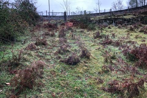 Helårsgrund i Amares, Braga, Amares - € 25.000 | Ref: 126371012-194 - foto 6