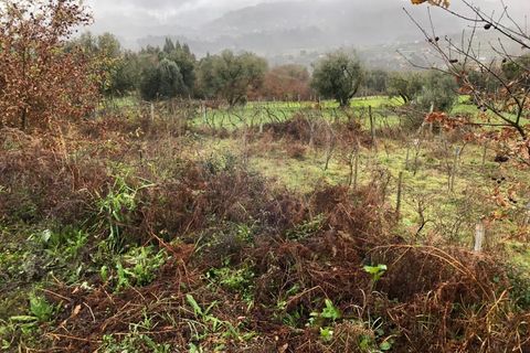 Helårsgrund i Amares, Braga, Amares - € 19.000 | Ref: 126371012-193 - foto 2