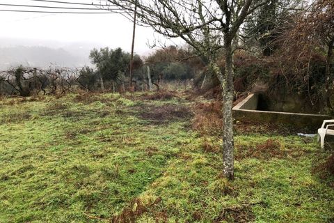 Helårsgrund i Amares, Braga, Amares - € 19.000 | Ref: 126371012-193 - foto 4