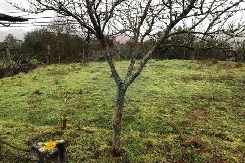 Helårsgrund i Amares, Braga, Amares - € 19.000 | Ref: 126371012-193 - foto 5