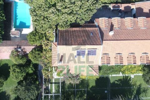 Landejendom i Orjais, Castelo Branco, Orjais - € 1.000.000 | Ref: 2022_1 - foto 2