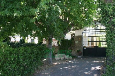 Landejendom i Orjais, Castelo Branco, Orjais - € 1.000.000 | Ref: 2022_1 - foto 3