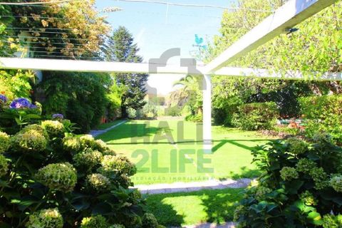 Landejendom i Orjais, Castelo Branco, Orjais - € 1.000.000 | Ref: 2022_1 - foto 8