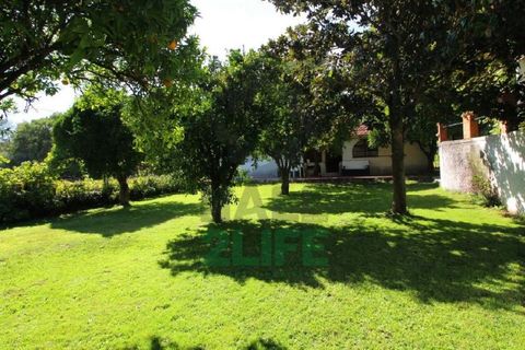 Landejendom i Orjais, Castelo Branco, Orjais - € 1.000.000 | Ref: 2022_1 - foto 9