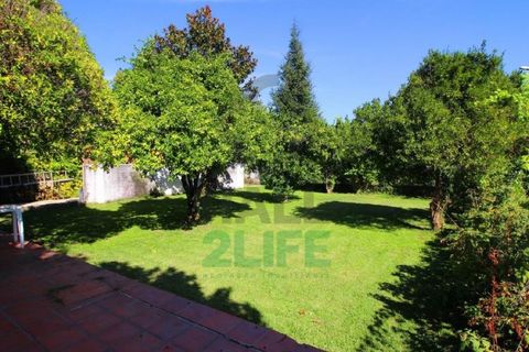 Landejendom i Orjais, Castelo Branco, Orjais - € 1.000.000 | Ref: 2022_1 - foto 10