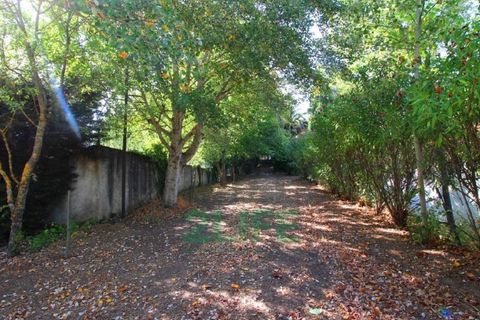 Landejendom i Orjais, Castelo Branco, Orjais - € 1.000.000 | Ref: 2022_1 - foto 11