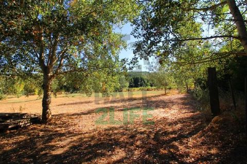 Landejendom i Orjais, Castelo Branco, Orjais - € 1.000.000 | Ref: 2022_1 - foto 12
