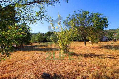 Landejendom i Orjais, Castelo Branco, Orjais - € 1.000.000 | Ref: 2022_1 - foto 13