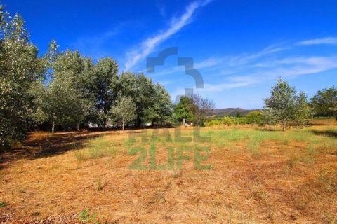Landejendom i Orjais, Castelo Branco, Orjais - € 1.000.000 | Ref: 2022_1 - foto 14