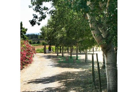 Landejendom i Orjais, Castelo Branco, Orjais - € 1.000.000 | Ref: 2022_1 - foto 15