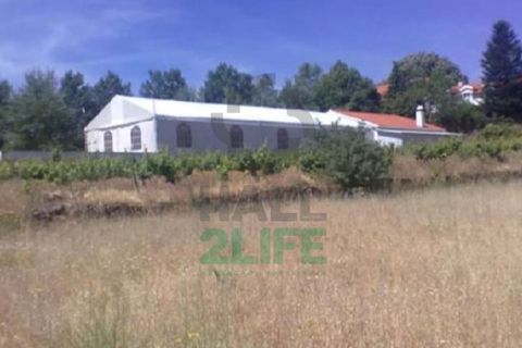 Landejendom i Orjais, Castelo Branco, Orjais - € 1.000.000 | Ref: 2022_1 - foto 16